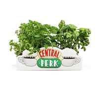Friends Table Top Vase - Central Perk