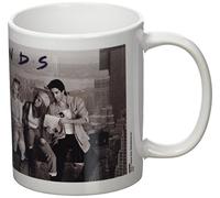 Friends MG22397 1-Piece Ceramic Lunch On A Skyscraper Mug,White
