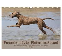 Friends on four paws on the beach UK-Version (Wall Calendar 2026 DIN A3 Landscape), CALVENDO 12 Month Wall Calendar