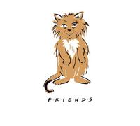 Friends Smelly Cat Women's T-Shirt - White - XXL