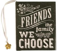 Friends: The Family We Choose (mini book)