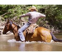 Friends 'Til the End