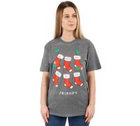 Friends Womens Grey Short Sleeved T-Shirt - XX-Large