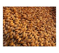 Friendship Estates Whole Barley 20kg