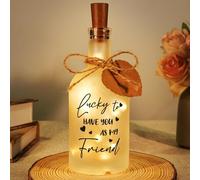 Friendship Gifts for Women, Best Friend Birthday Gifts, Birthday Gifts for Women Friend, Best Friend, Bestie, Soul Sister, Friend Gifts for Thanksgiving Christmas, Friendship Bottle Night Light