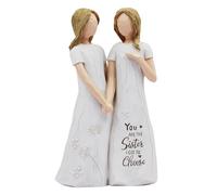 Friendship Gifts for Women Sculpted Hand-Painted Sister Birthday Gifts-You Are the Sister I Got to Choose-Waterproof Resin Funny Gifts Sister Gifts for Friends