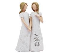Friendship Gifts for Women Sculpted Hand-Painted Sister Birthday Gifts-You Are the Sister I Got to Choose-Waterproof Resin Funny Gifts for Friends, Figurines