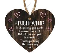 Friendship Is Like Pissing Your Pants Plaque | Funny Friendship Quote | Gift for Best Friends | (Mdf Wood Indoor Use Only 10cm x 9cm)
