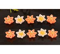 Frienemy Presents Floating Wax Candle Set of 10 Multicolor Flower Glittered Tealight for Diwali (Multicolour) #Frienemy-0287