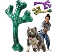 Frienhund 2-Pack Indestructible Dog Chew Toys for Aggressive Chewers: Textured Cactus with Grooves for Peanut Butter & Yogurt, Beef Nylon Bones for Large Dogs 20-90 lbs, Easy Chew & Long Lasting