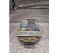 FRIEREN: Beyond Journey's End Original Soundtrack CD Sousou no Frieren OST new