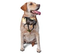 Friesian Horse DesignDog Bandanas Cat Puppy Scarfs Washable Pet Handkerchief