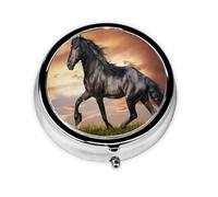 Friesian Horse DesignMeta Pill Box 3 Compartment Medicine Case,Portable Organizer