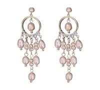 Fringe pearl exquisite earrings for women, 2022, small group design, light luxury, cold and indifferent style