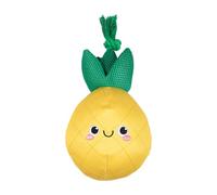 Fringe Studio Floating Dog Toy with rope "THE WATER IS JUST PINE", Pet Shop Collection (640015)
