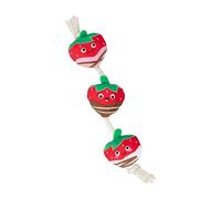 Fringe Studio Plush Dog Toy with Rope, Covered with Love, Petshop Collection (314495)