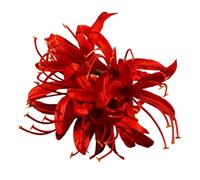 Fringed Ancient Hairpin For Women Chinese Styles Hair Clip Wedding Bridal Shower Hair Styling Accessory Hair Decoration