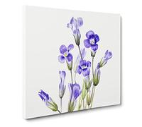 Fringed Gentian Vol.2 by Mary Vaux Walcott Canvas Print | Gallery Wrapped 30mm Frame Wall Art | 20x20 inches | Ready to Hang | Modern Picture | Living Room Bedroom Lounge Office