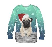Fringoo Unisex Mens Womens Christmas Party Jumper Sweatshirt Xmas Sweater Funny Pullover Pug Santa S M L Present Gift Ugly Winter Sweasthsirt (One Size Fits UK S/M, X-mas Pug)
