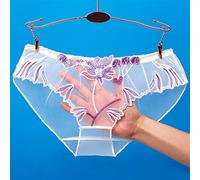 Frinza Knickers Lace Transparent Panties Briefs for Women Floral Mesh Female Hollow Out Low Rise Underwear Ladies Big Size M-XL(1 Pcs White,PIECE_LARGE)