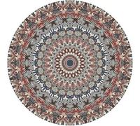 Frinza Round Carpet Rug Round Short Pile European Carpets for Bedroom Decoration Rugs for Decor Carpet Non-slip Area Thicken Floor Mats(19,80x80cm)