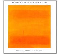 Fripp, Robert - That Which Passes