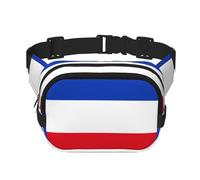 Frisian flag Square double - layer fanny pack with adjustable shoulder strap - travelling fanny pack - perfect for outdoor sports, Flag Of The Canton Of Schleswig-Holstein, One Size