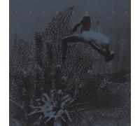 Frith, Fred - Eye To Ear 3