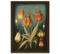 Artery8 Fritillaria Flower Plant Ernst Haeckel Inspired Plant Study Modern Watercolour Painting Illustration Artwork Framed Wall Art Print A4