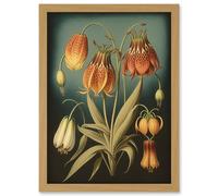 Fritillaria Flower Plant Ernst Haeckel Inspired Plant Study Modern Watercolour Painting Illustration Artwork Framed Wall Art Print A4 Artery8 Light Oak One Size