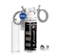 Frizzlife Under Sink Water Filter System, NSF/ANSI 42&53&372 Certified High Capacity Direct Connect Water Filter, Reduce Lead, Chlorine, Heavy Metals, Limes, Bad Taste & Odor, 0.5μm, Scale Inhibition