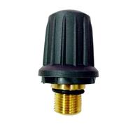 FRJOKPVIM Safety Lock Safety Valve With Black O-ring ,Compatible For Karcher, 4.590-105.0 6.363-279.0 Steam Cleaner Replacement Accessories(1Pcs)