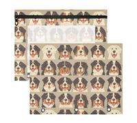 FRODOTGV Cute Mountain Dogs Faces Pencil Bag Pouches Clear Window 3 Hole Pocket for 3 Rings Binder 2 Pack Students Art Supplies Storage