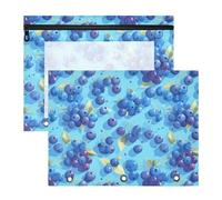 FRODOTGV Deep Blue Grapes Pencil Bags Pouches with 3 Reinforced Grommets Plastic File Folder for 3 Rings Binder 2 Pack Students School Supplies