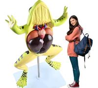 Frog Anatomical Model, Detachable Frog Organs and Body Parts Model, Animal Internal Organs Anatomical Model, Educational Training Aid, for Learning Display and Collectibles,
