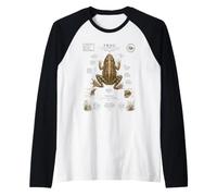 Frog Anatomy Vintage Field Guide Diagram Nature Art Raglan Baseball Tee
