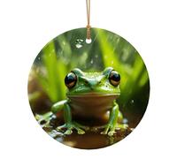 Frog and Rain Print Christmas Ceramic Crafts Orenament for Christmas Winter New Year Party Hanging Decorations