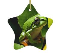 Frog and Rain -Print Christmas Ceramic Star Ornaments - Handmade Ceramic Holiday Decor With Gold String For Tree Home Festival.
