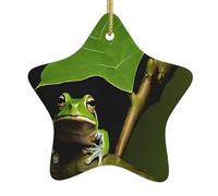 Frog and Rain -Print Christmas Ceramic Star Ornaments - Handmade Ceramic Holiday Decor With Gold String For Tree Home Festival.