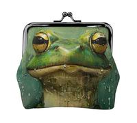 Frog and Rain Print Exquisite Versatile Kiss Lock Coin Purse Cute Small Zipper Wallet for Coins Cards
