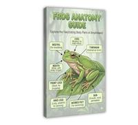 Frog Dissection Atlas Knowledge Canvas Poster Wall Art Decor Print Picture Paintings for Living Room Bedroom Decoration 08x12inch(20x30cm)