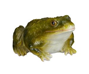 Frog garden statue Lifelike Poly-resin Garden Frog Ornament Toad Garden Ornament