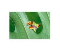 Frog Hiding Among The Green Leaves Poster Vintage Art, Wall Canvas, Decoration Aesthetic, Living Room, Kids Room Dormitory, Cafe, Bathroom, Suitable for Bedroom, Gym, Cool Classic 08x12inch(20x30cm) U
