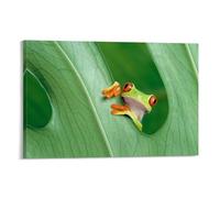 Frog Hiding Among The Green Leaves Poster Vintage Art, Wall Canvas, Decoration Aesthetic, Living Room, Kids Room Dormitory, Cafe, Bathroom, Suitable for Bedroom, Gym, Cool Classic 16x24inch(40x60cm) F