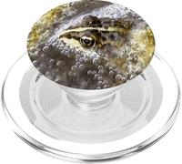 Frog Immersed In Water Bubbles and Frogspawn PopSockets PopGrip for MagSafe