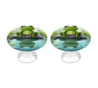 Frog in A Pond Cabinet Knobs, 2-Pack Silver Stainless Steel Drawer Pulls with Screws, Elegant Hardware for Dressers, Kitchen,Cabinets & Desks