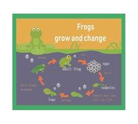 Frog Life Cycle Mind Map Poster Educational Wall Chart For Toddlers Kids English Learning Tool And School Decor(Framed,16x24inch(40x60cm))