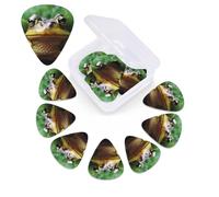 Frog Looking Toward Camera Guitar Picks with Custom Organizer Storage Box, Guitar Accessories, Ukulele for Acoustic Guitar, Bass, Valentine's Day Gift
