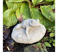 Frog On Rock Small Garden Ornament