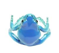 Frog Rings - Creative Frog Adjustable Open Ring | Strange Green Resin Ring ? Novelty Animal Finger Ring | Adjustable Tree Frog Shaped Ring for Birthday and Vacation, Consulte la descripción, See